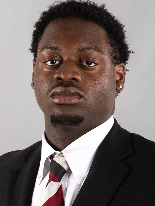 Jaylen Brown athlete image