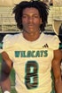 Demetrice Rolle athlete image