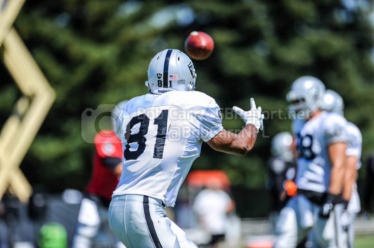 Mychal Rivera hopes to be quietly effective at tight end for Tennessee