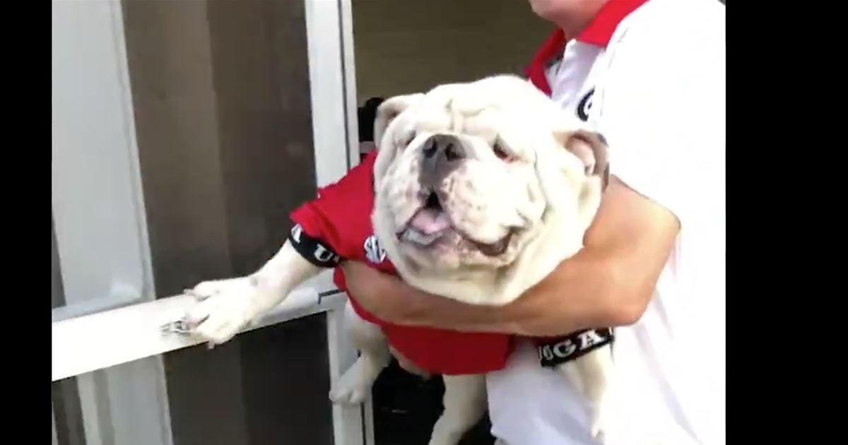 WATCH: Uga X shares inside look at his game day experience