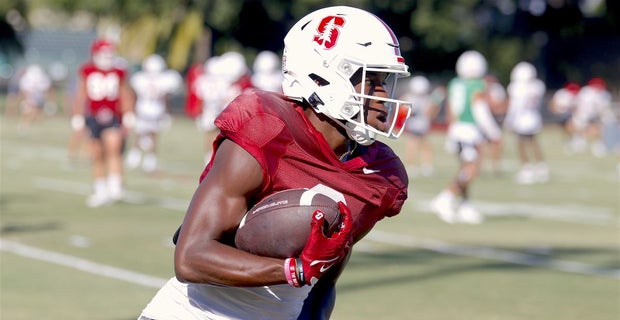 Stanford WR Mudia Reuben poised for big sophomore season