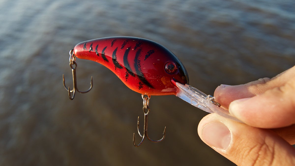 5 Shallow Bass Fishing Crankbait Colors You Need - Wired2Fish