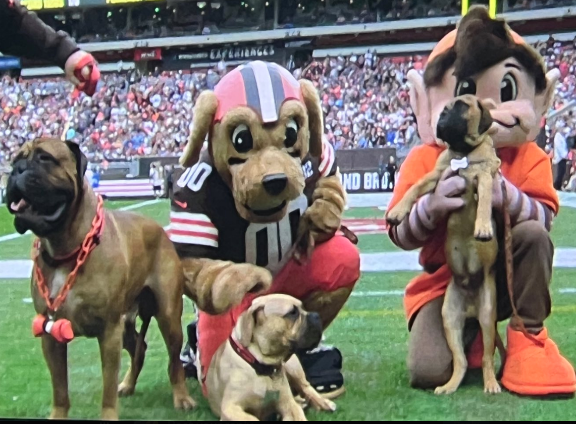 Official Watercooler BrownsTitans Game Thread