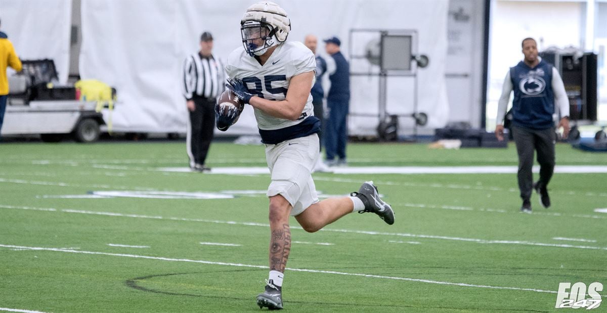 Sources: Penn State Freshman Tight End Mega Barnwell Departs Program