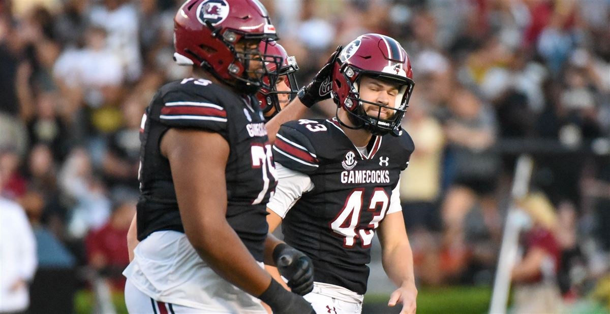 PFF: South Carolina's Parker White posts top kicker grade in country -  GamecockScoop