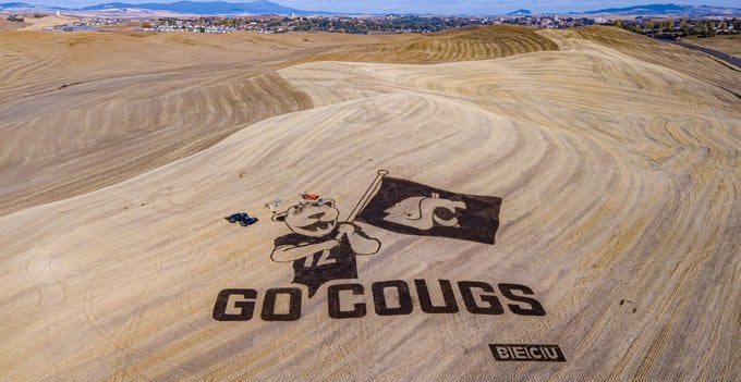 A spectacular sight greets returning Cougs for homecoming