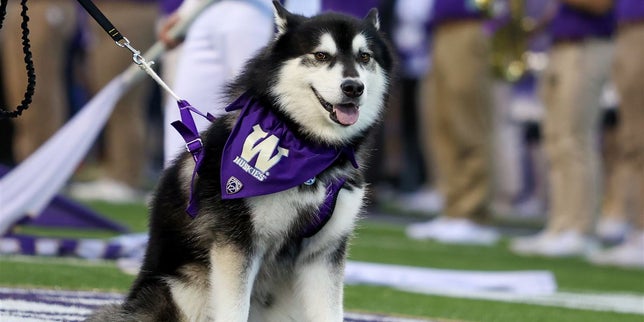 Tonight's Monday Night Football has Special Meaning to Washington Running  Back – Realdawg.com