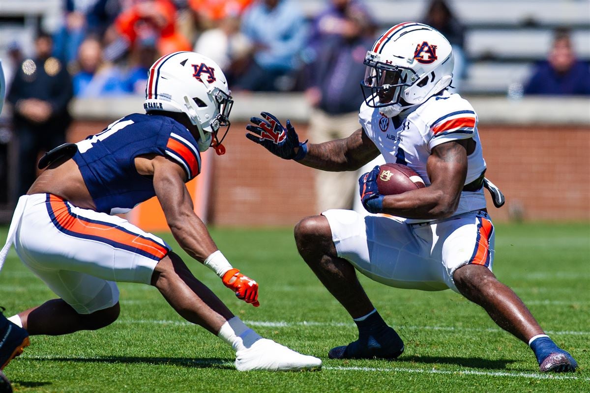 IN PHOTOS Auburn ADay game