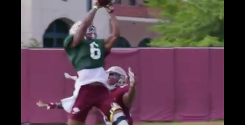 247 sports noles