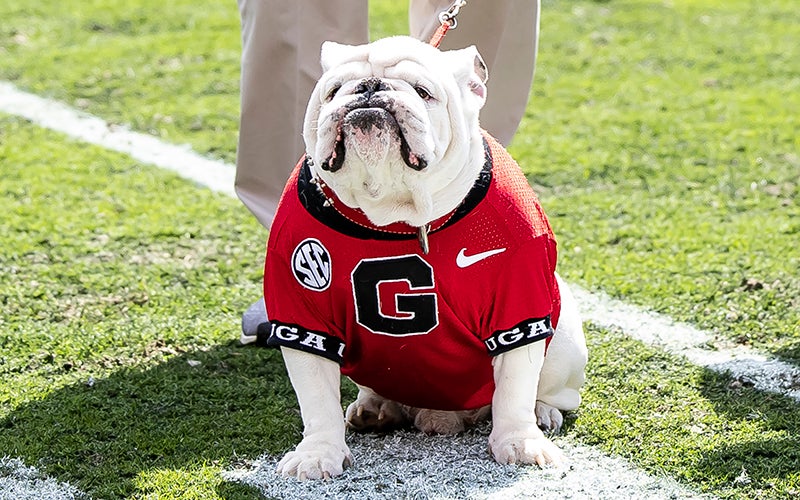 Pets First University of Georgia Mesh Dog Jersey