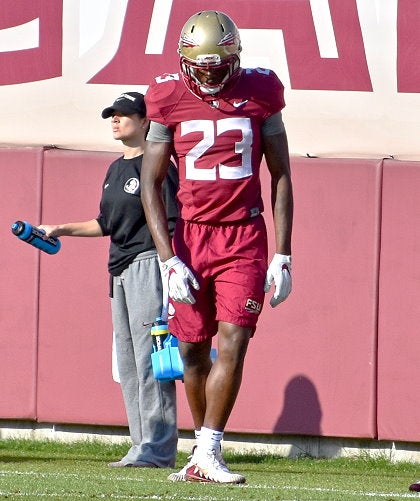 Florida State Safety Hamsah Nasirildeen Highlights 