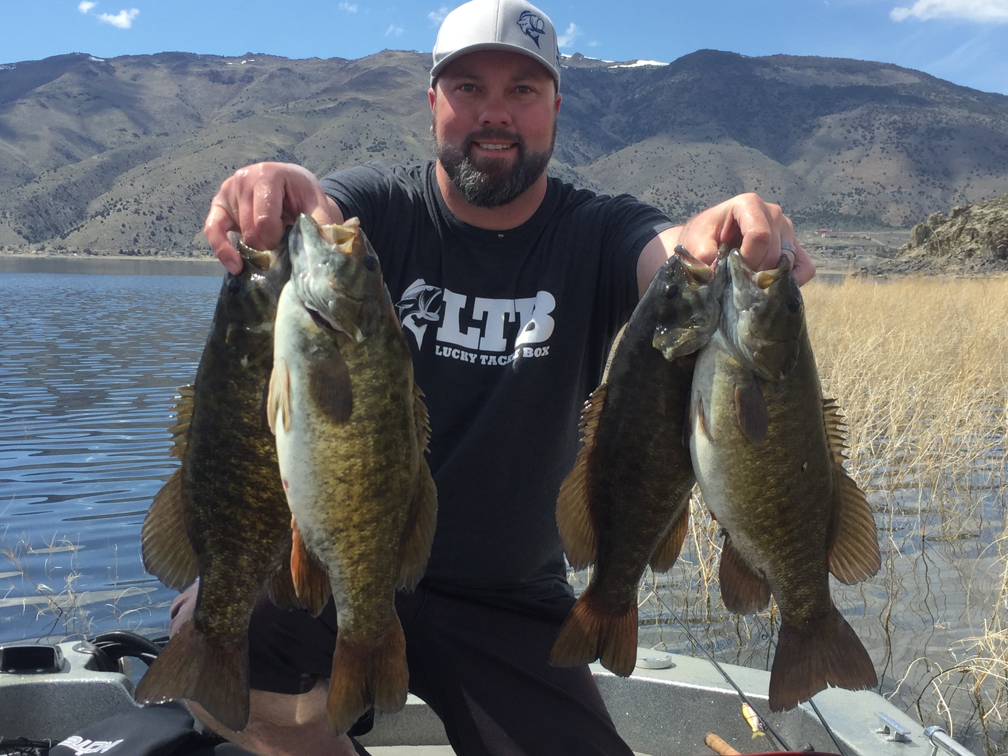 4 Tips To Fishing Glide Baits in bass fishing quick tips for Your property 4 Tips To Fishing Glide Baits in bass fishing quick tips for Your property