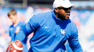 Catspause 247sports best sale