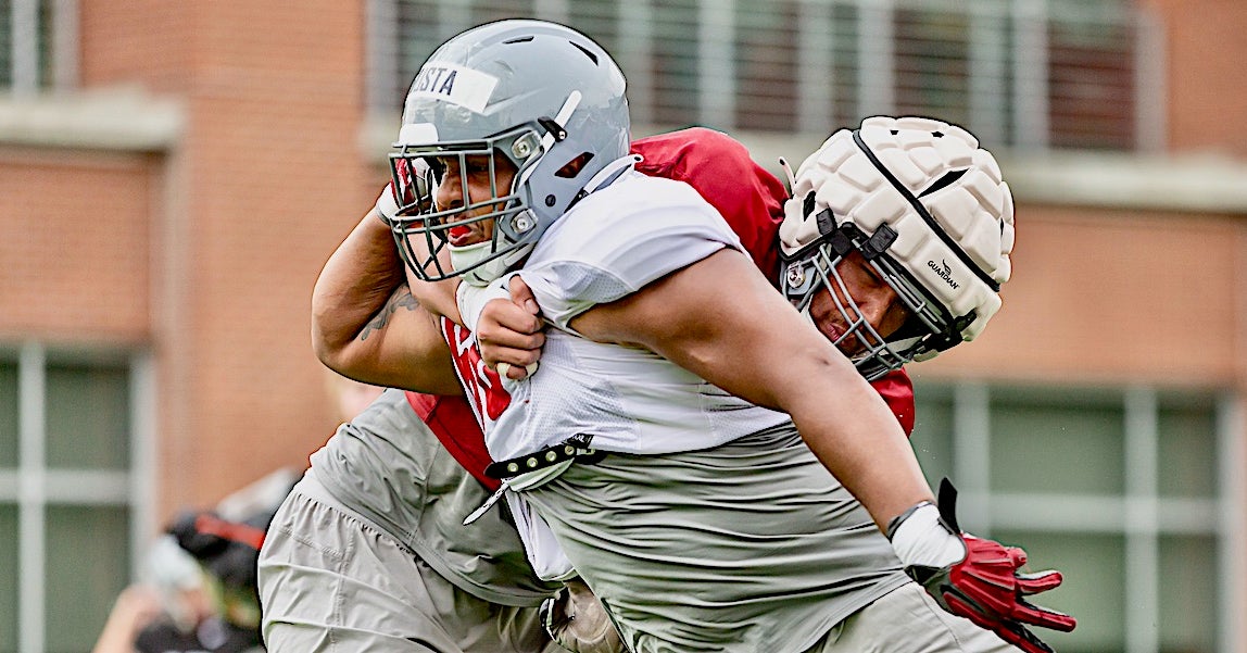 'Nicest guy you could meet' off the field, WSU's David Gusta enjoys hitting people with his face