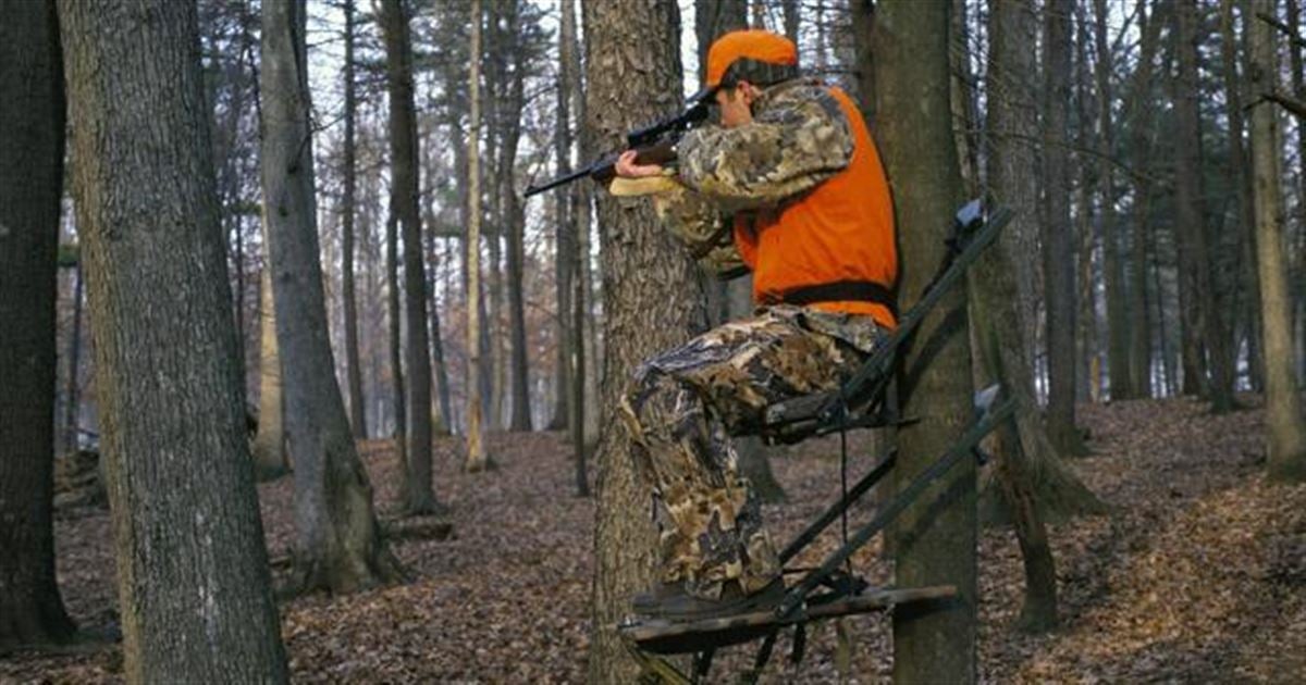 top-10-tips-for-hunting-public-land