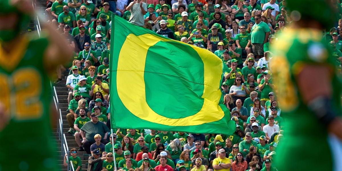 13466475.jpg?width=1200&height=600&crop=