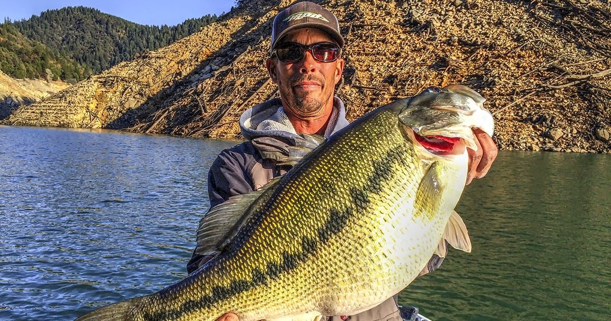 Potential World Record Spotted Bass Caught in California