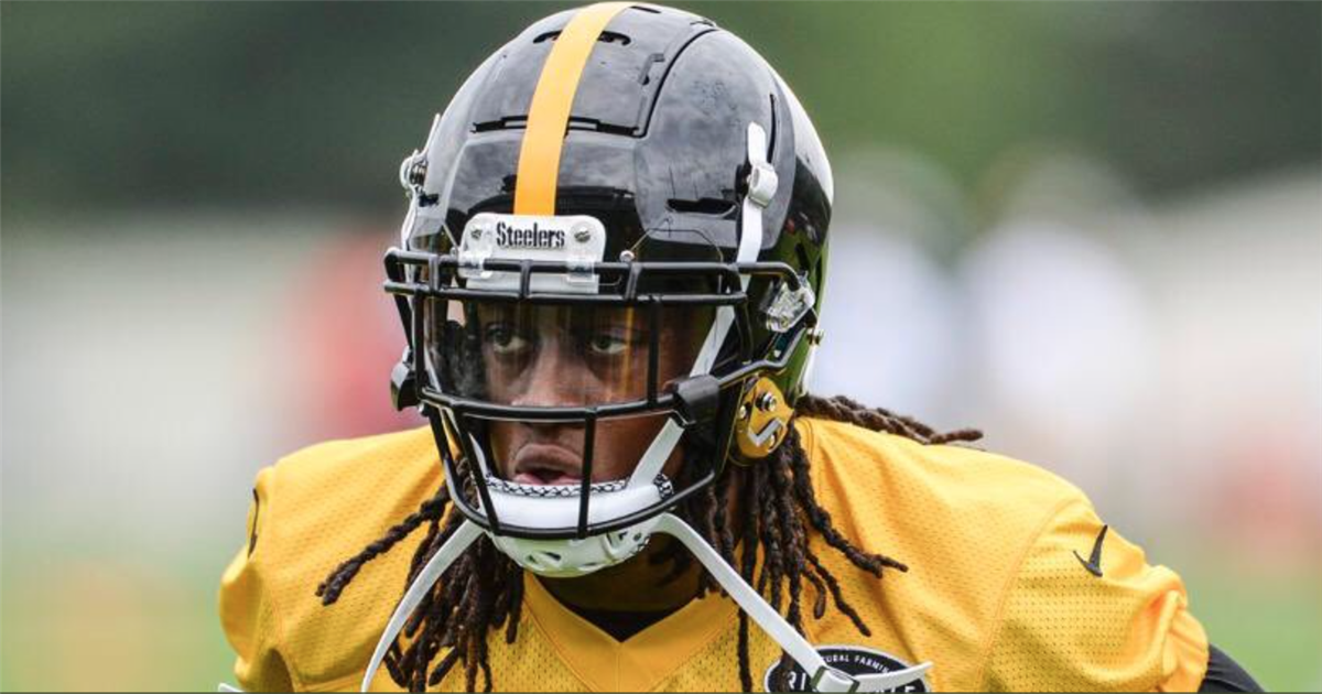 Terrell Edmunds Says Steelers' Nation Took Over Panthers' Stadium: 'Every  Game Is A Home Game' - Steelers Depot