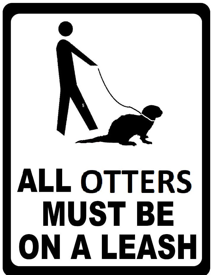 Otter attacks 3 women in Montana, one airlifted to hospital....