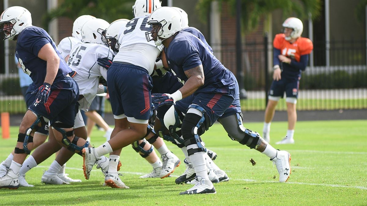 Jay Jay Wilson Auburn Tight End