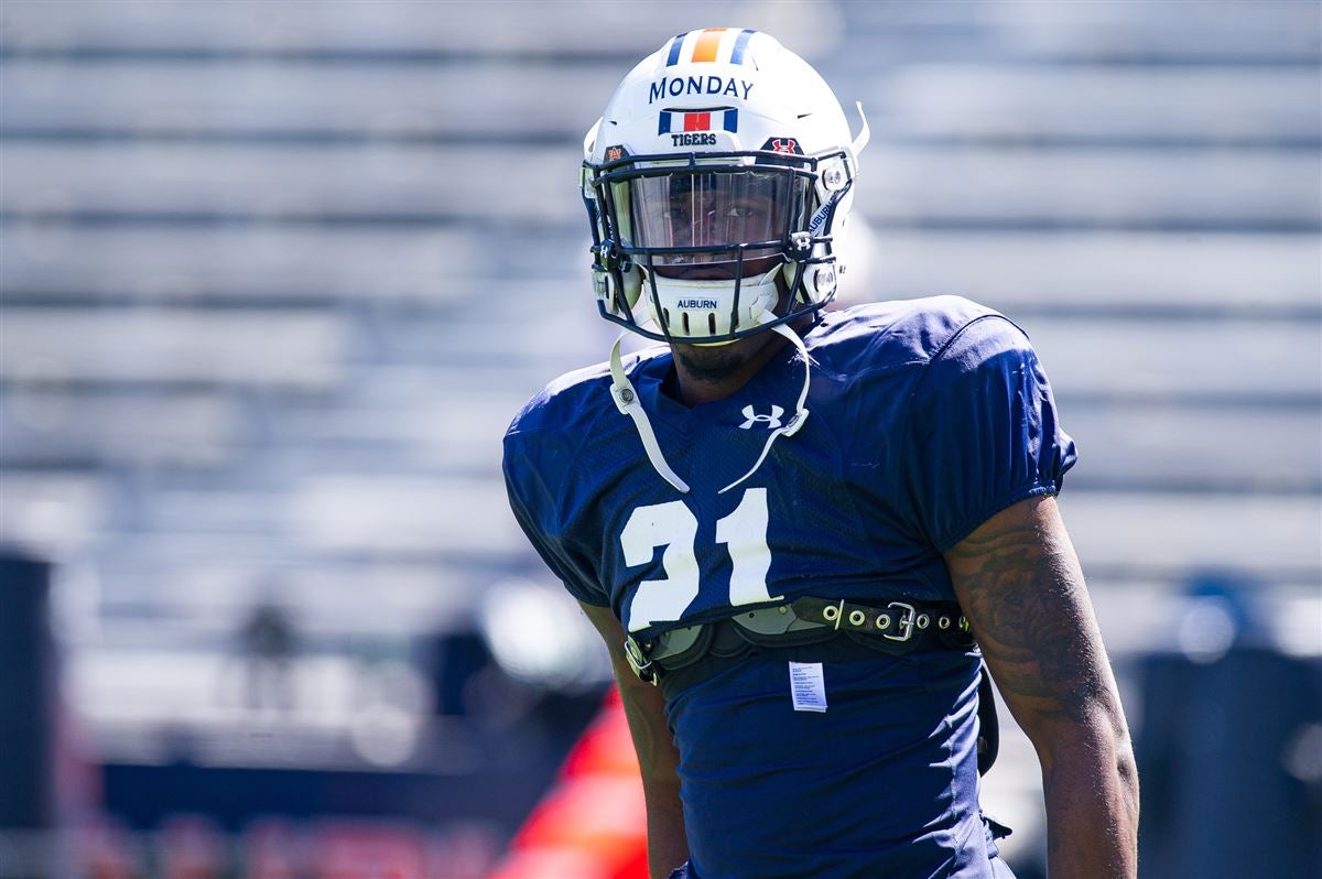 IN PHOTOS More from Auburn football spring practice