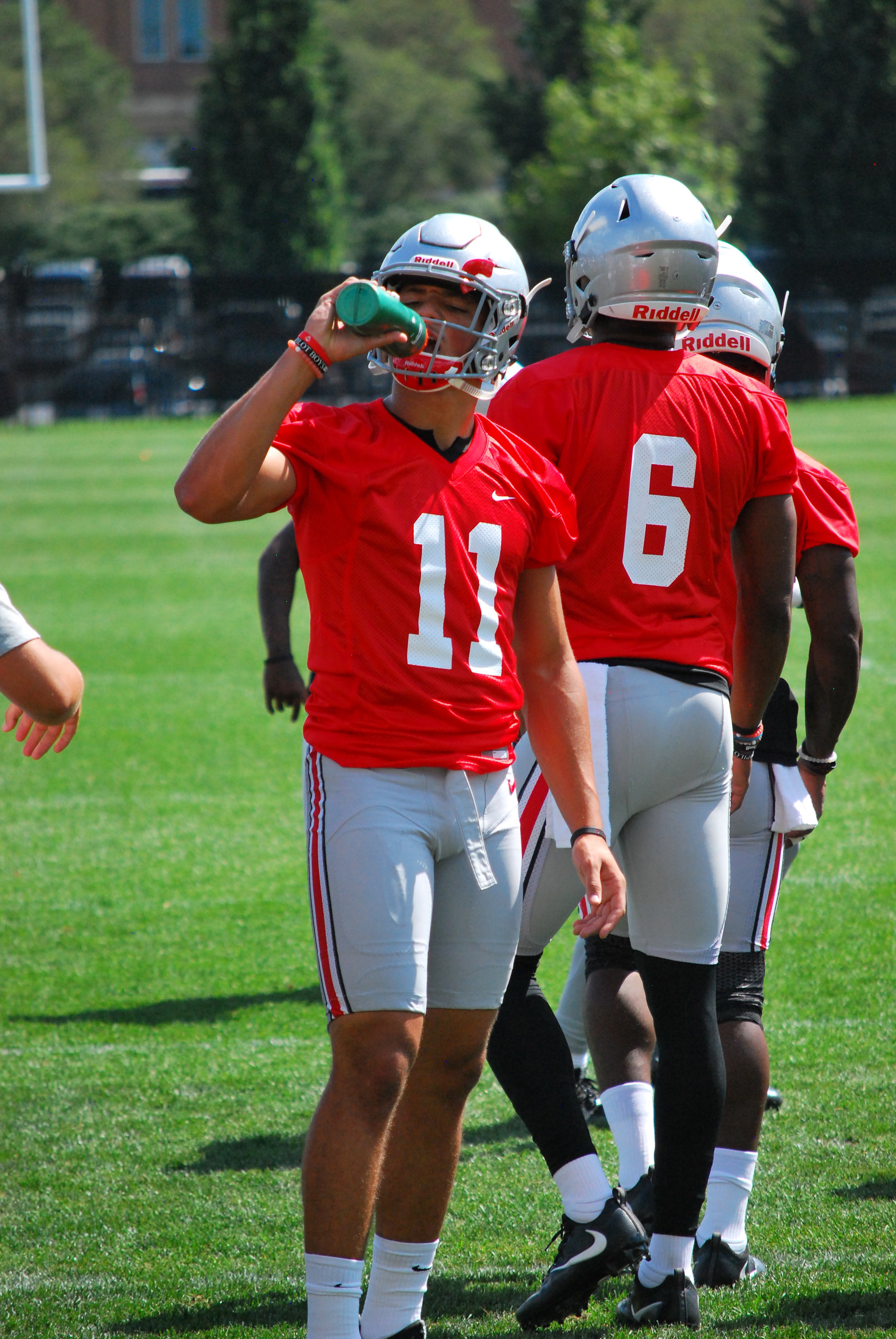 September 03 2016: Quarterback Joe Burrow (10) of the Ohio State Buckeyes  hands the ball off to running back Demario McCall (30) of the Ohio State  Buckeyes during the game between the