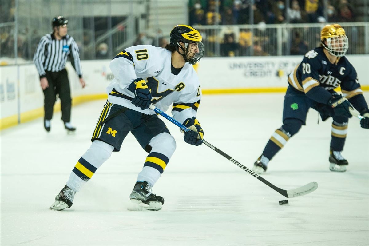 Michigan Hockey: 2021 NHL Draft Central - University of Michigan