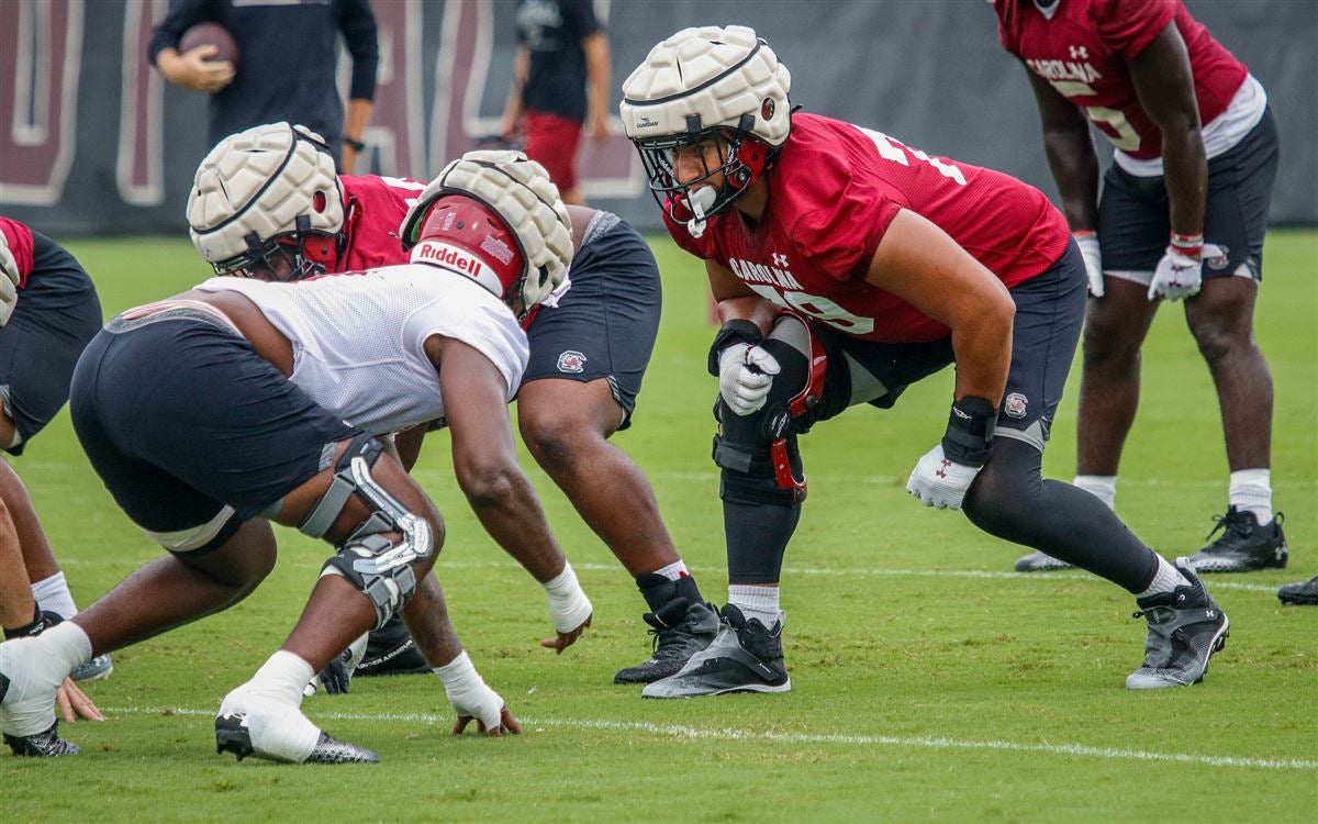 South Carolina Football: Gamecock playmaker continues career in NFL