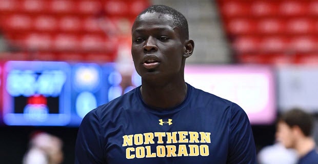 Men's Blue Northern Colorado Bears Basketball Jersey