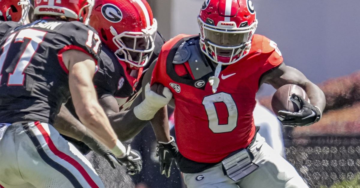 Georgia running back Roderick Robinson a big winner after spring portal ...