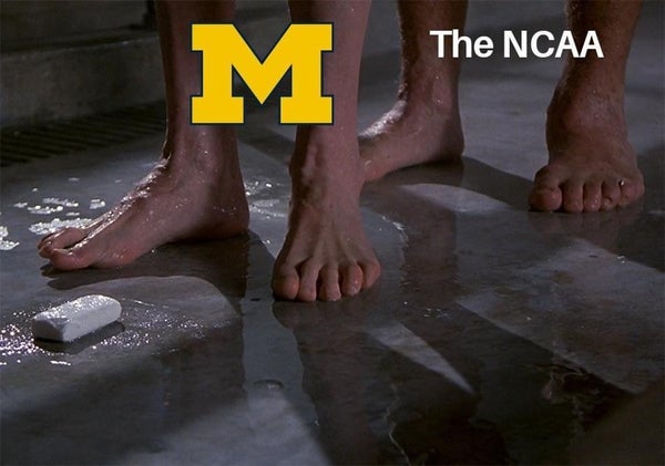 12189683.jpeg