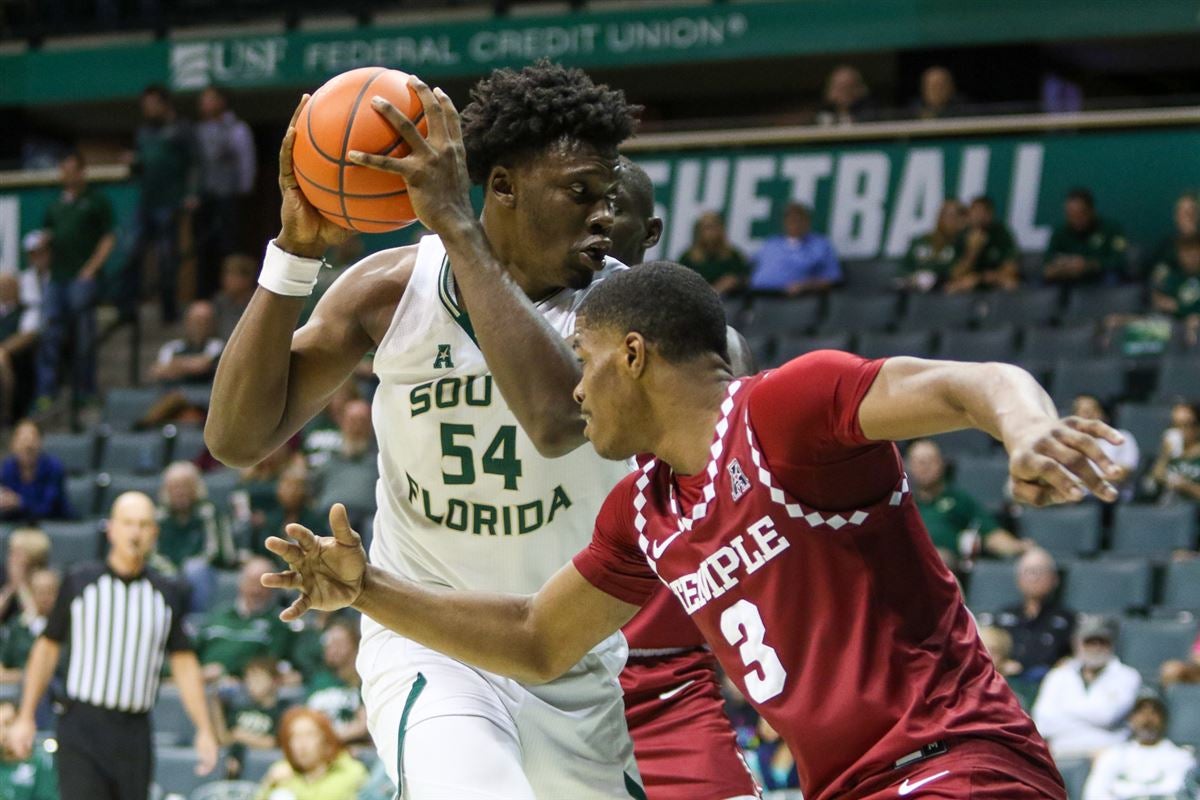 Former USF center Russel Tchewa commits to Georgia