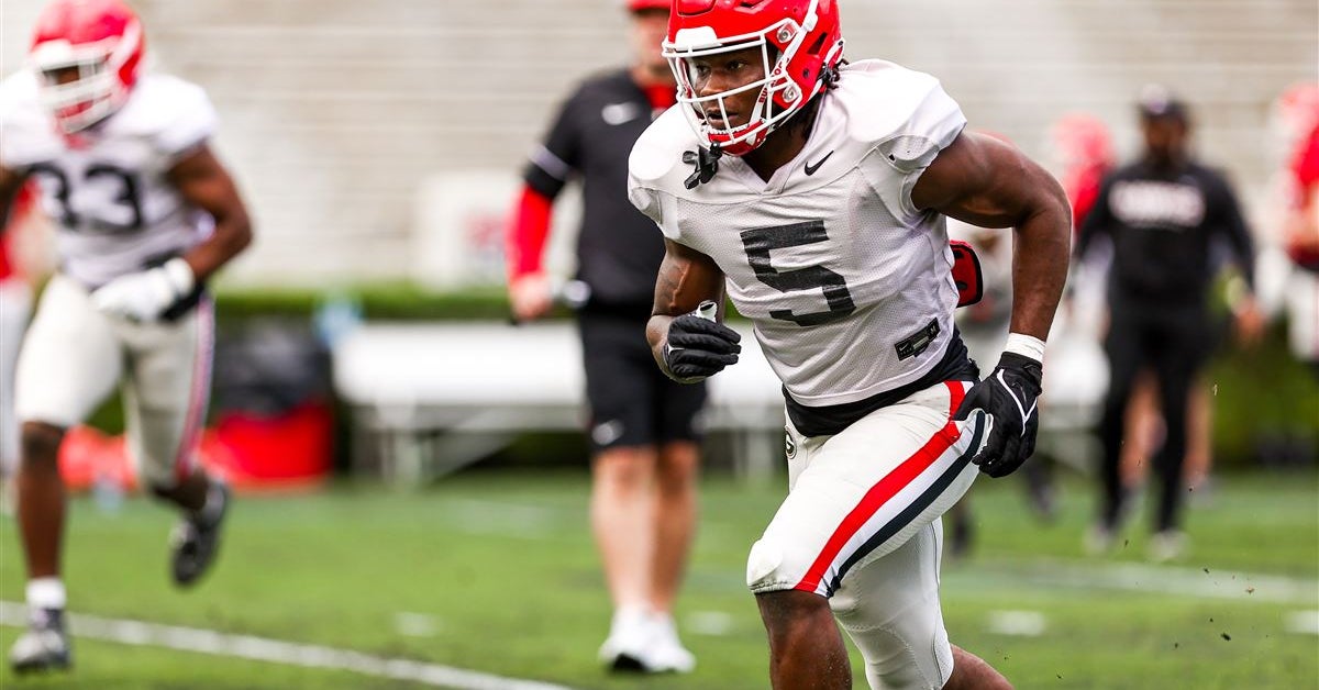 Georgia inside linebacker Raylen Wilson ready to prove he belongs