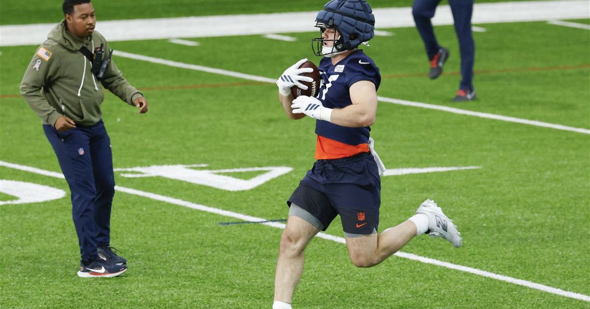 Chicago Bears 2026 Rookie Expectations: Will TE Sam Roush play a bigger role than expected?