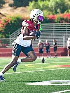Gianni Haynes