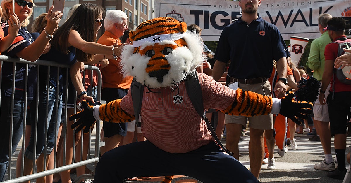 Tiger Walk photos: The LSU game