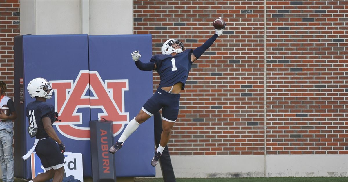 IN PHOTOS Auburn spring football gallery No. 4