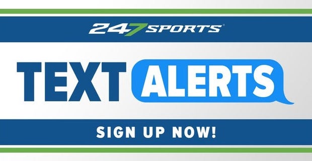 Catspause 247sports hot sale