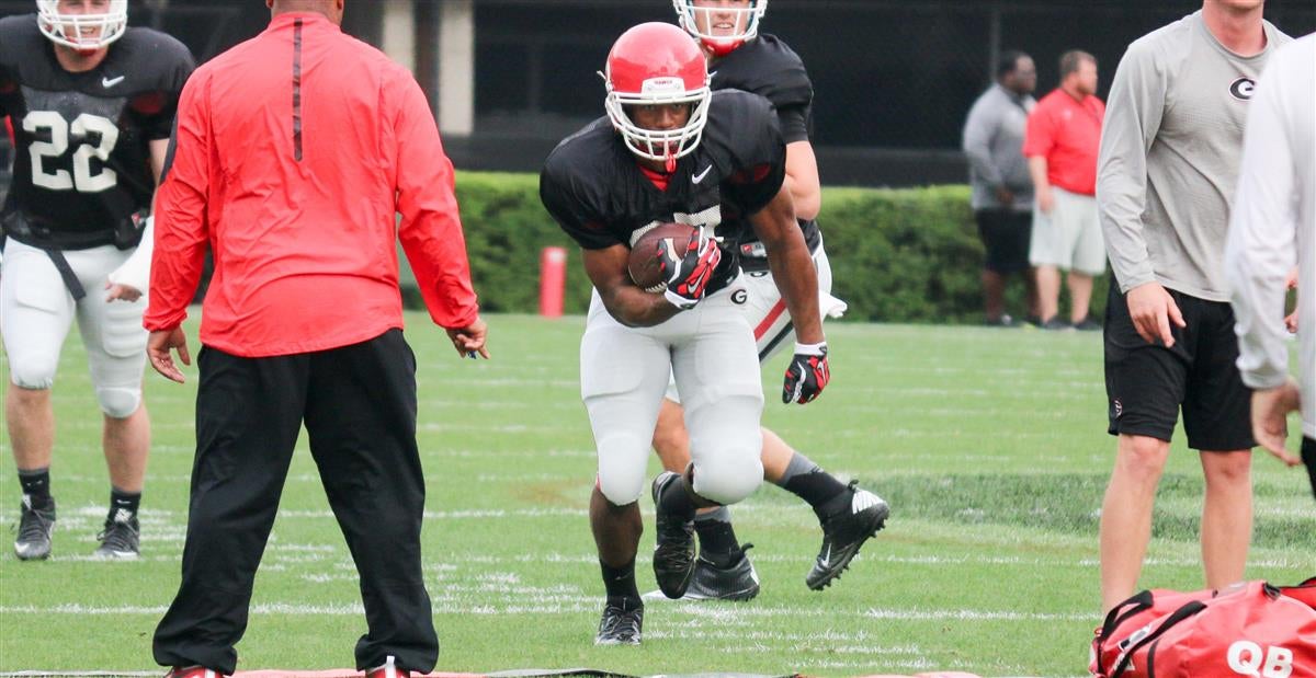 Georgia thrilled to still have Nick Chubb and Sony Michel, but senior  tailbacks are rarely special