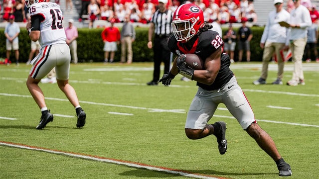 Kentucky transfer Dante Dowdell fits in nicely with Georgia backfield at G-Day