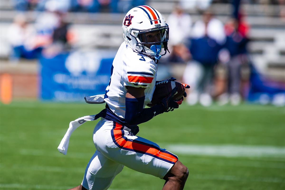 IN PHOTOS Auburn ADay game