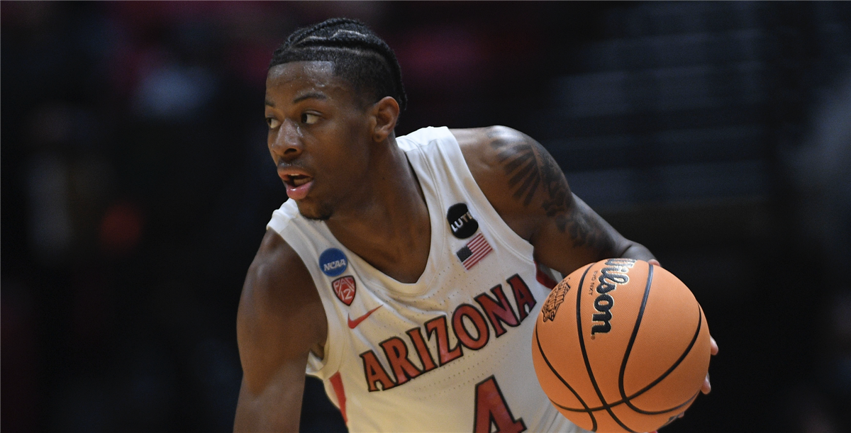 Arizona Basketball: Dalen Terry announces he's staying in the NBA Draft