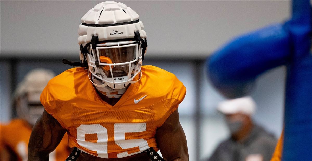 Tennessee makes move for Vonn Bell: can Vols beat out Bama, Buckeyes? 