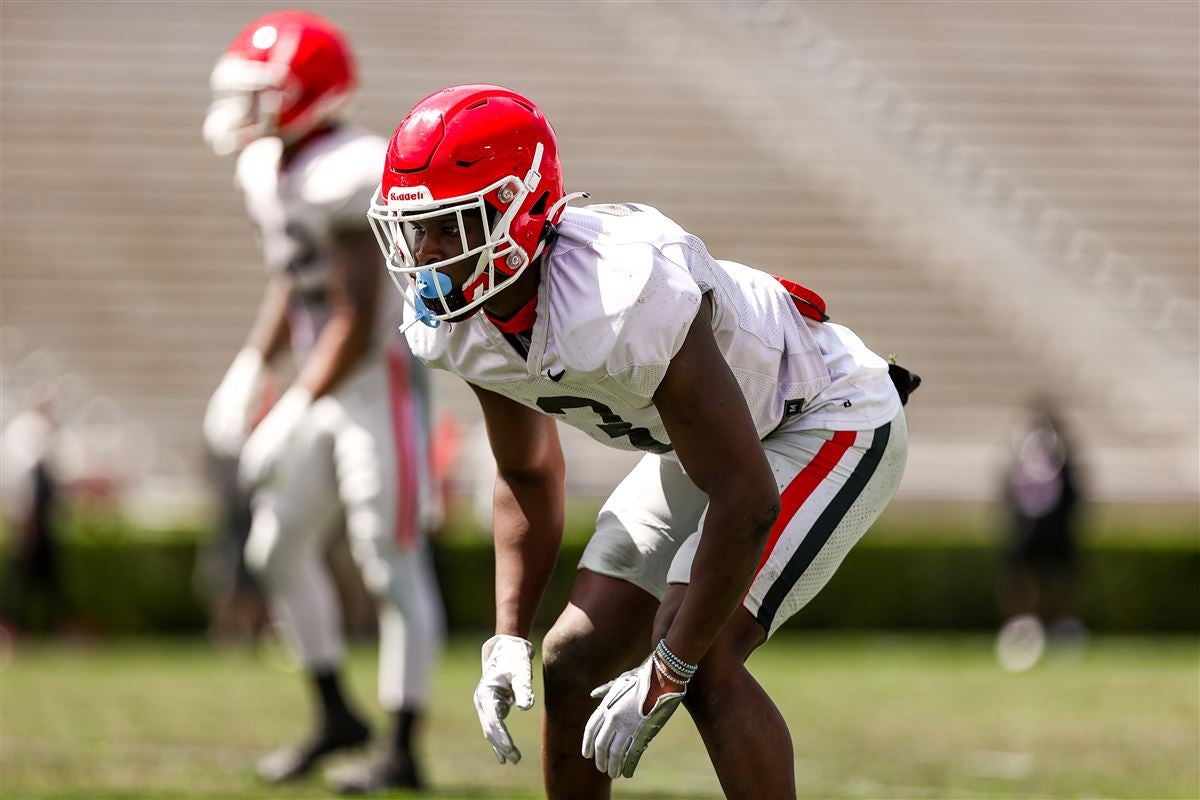 The Catch ~ AJ Greene  Georgia bulldogs football, Georgia