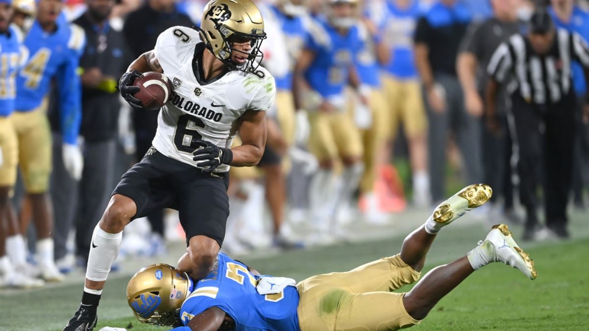 Former CU Buffs receiver Daniel Arias getting opportunity with Arizona  Cardinals – BuffZone