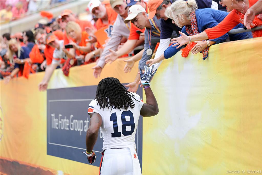 Auburn Tigers 2015 NFL Draft Prospect Sammie Coates - College and Magnolia