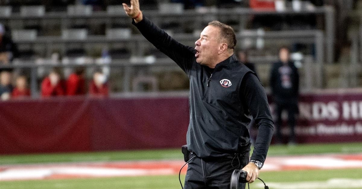 Red Wolve ready for reinforcements