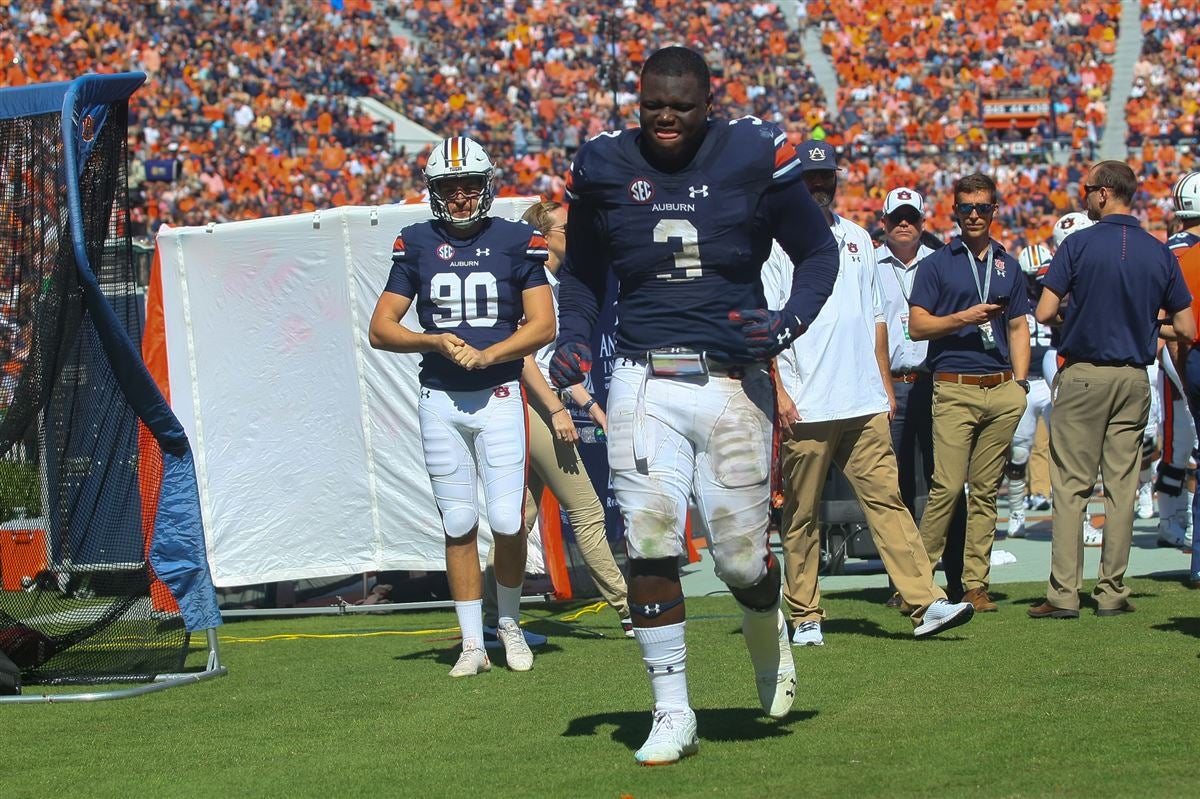 One last dance': Marlon Davidson senior spotlight - Auburn University  Athletics