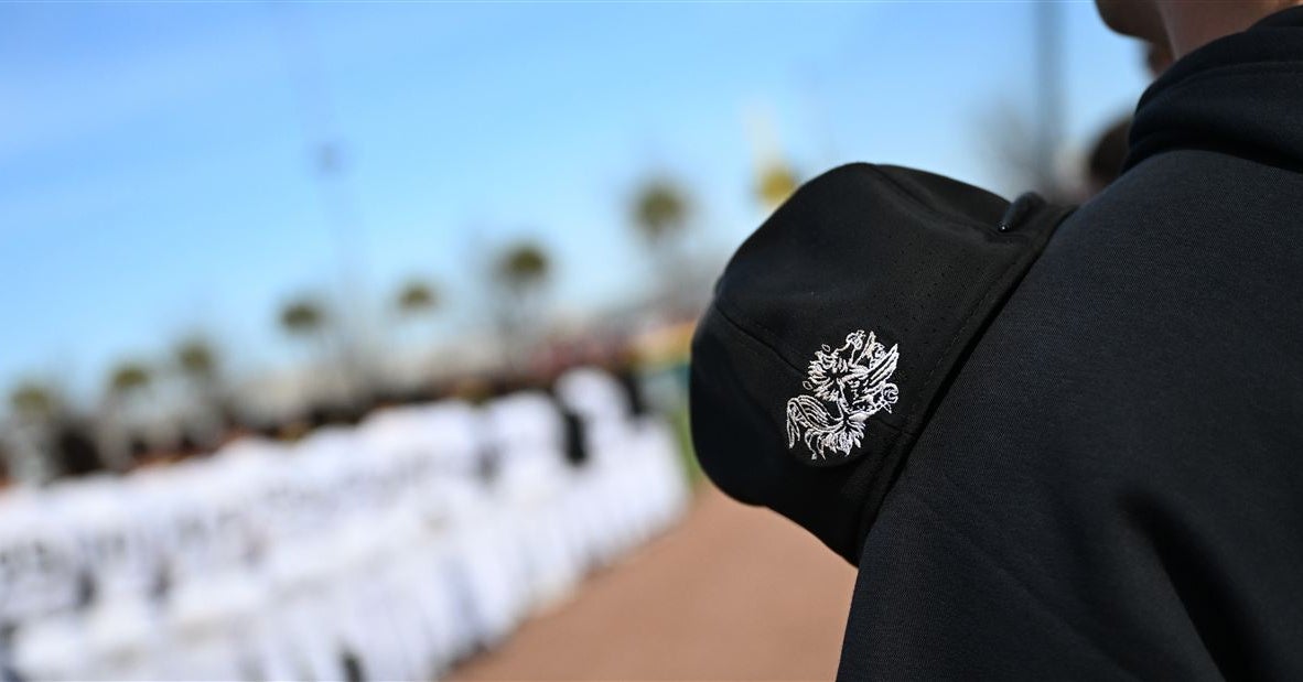 Staying or going? Update on South Carolina's baseball recruits