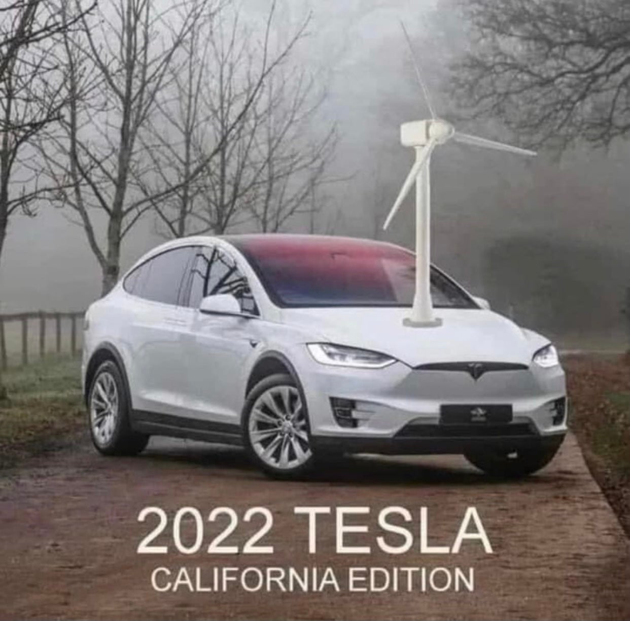 Non Tesla electric cars anyone own one?